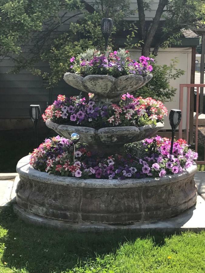 Blue Spruce Inn-Meeker, Colorado Εξωτερικό φωτογραφία